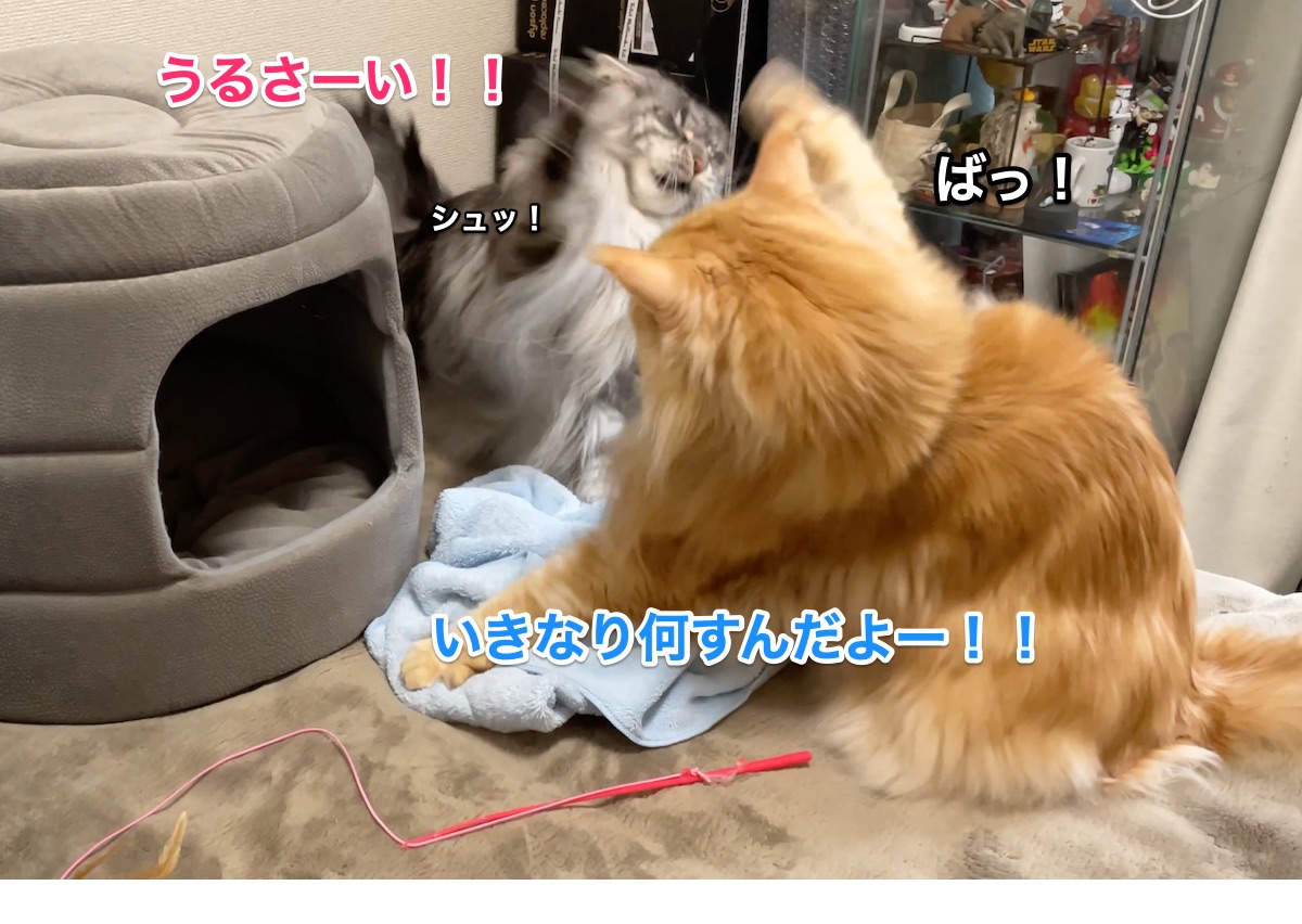 f:id:chikojirou:20210308225741j:plain