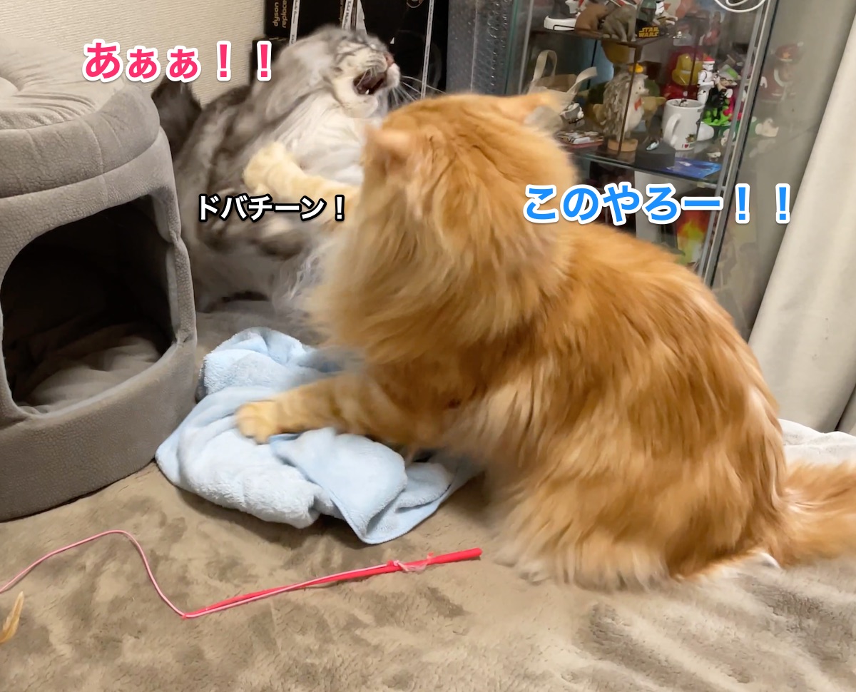 f:id:chikojirou:20210308225745j:plain