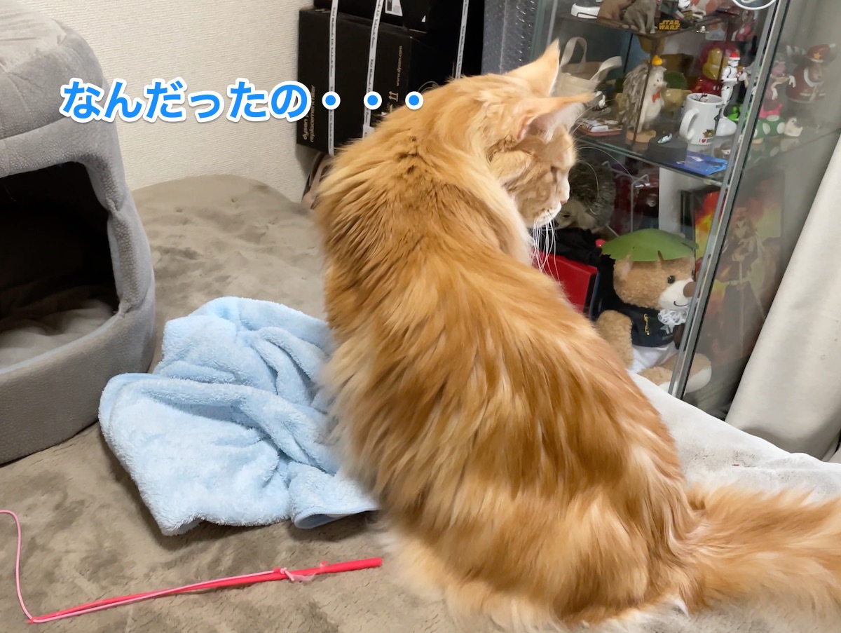 f:id:chikojirou:20210308225750j:plain