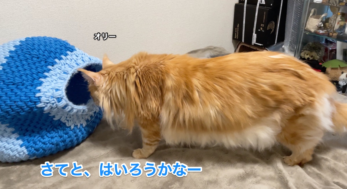 f:id:chikojirou:20210312210320j:plain