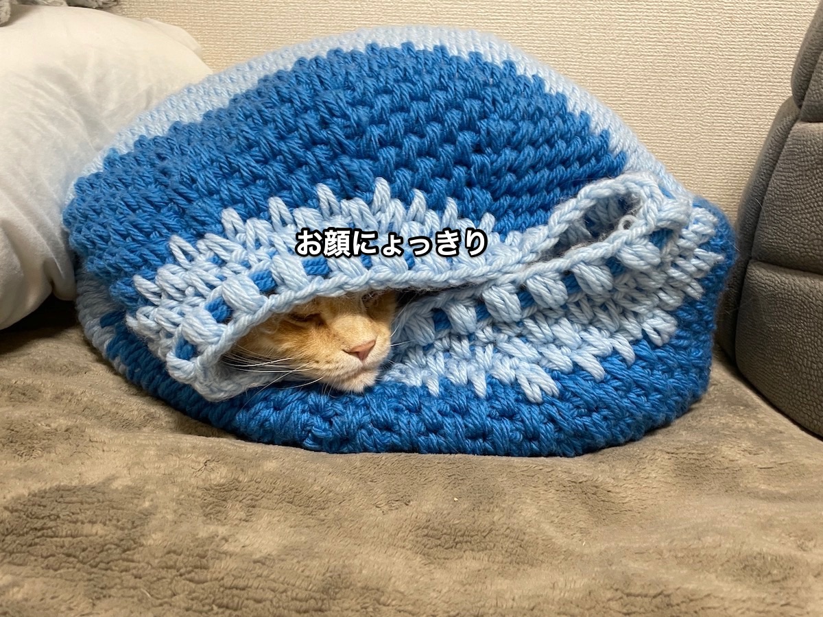 f:id:chikojirou:20210312210324j:plain
