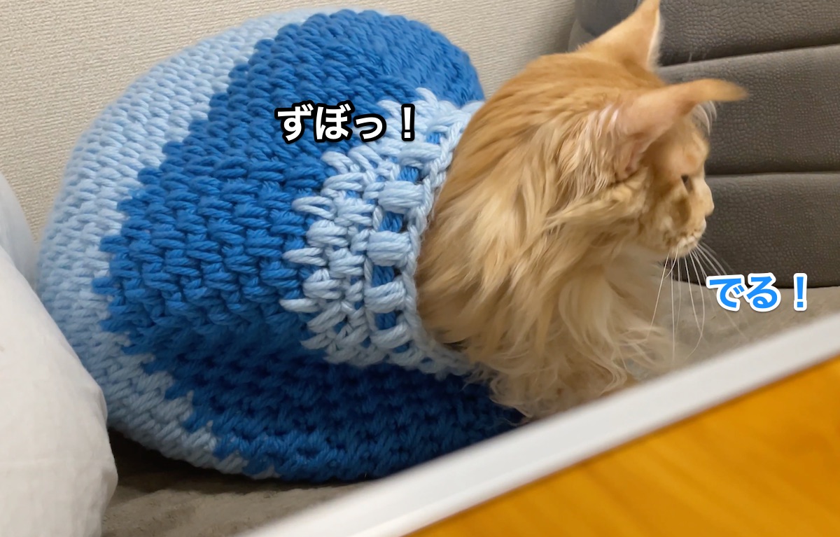 f:id:chikojirou:20210312210327j:plain