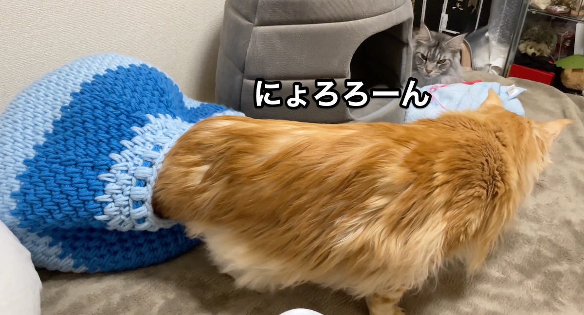 f:id:chikojirou:20210312210331j:plain