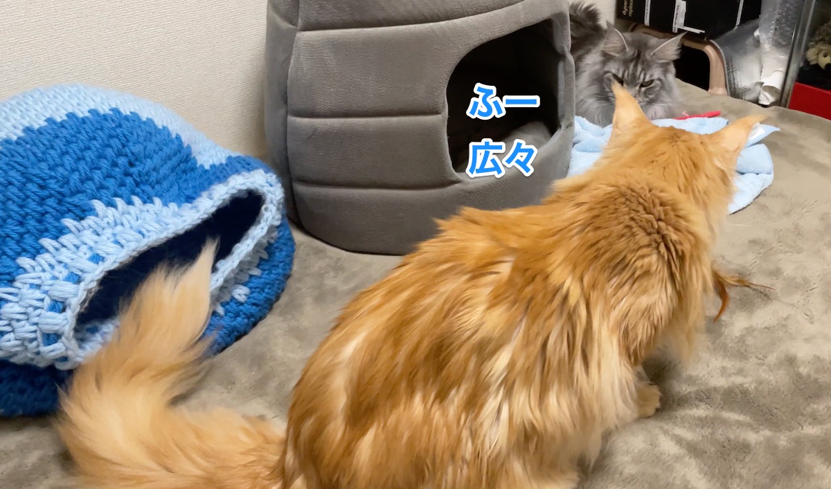 f:id:chikojirou:20210312210334j:plain