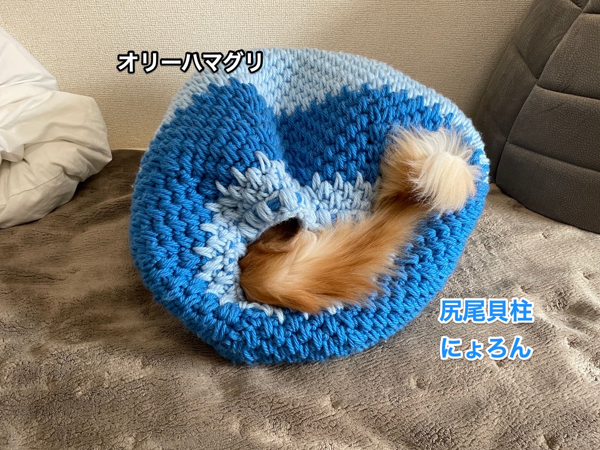 f:id:chikojirou:20210322220223j:plain