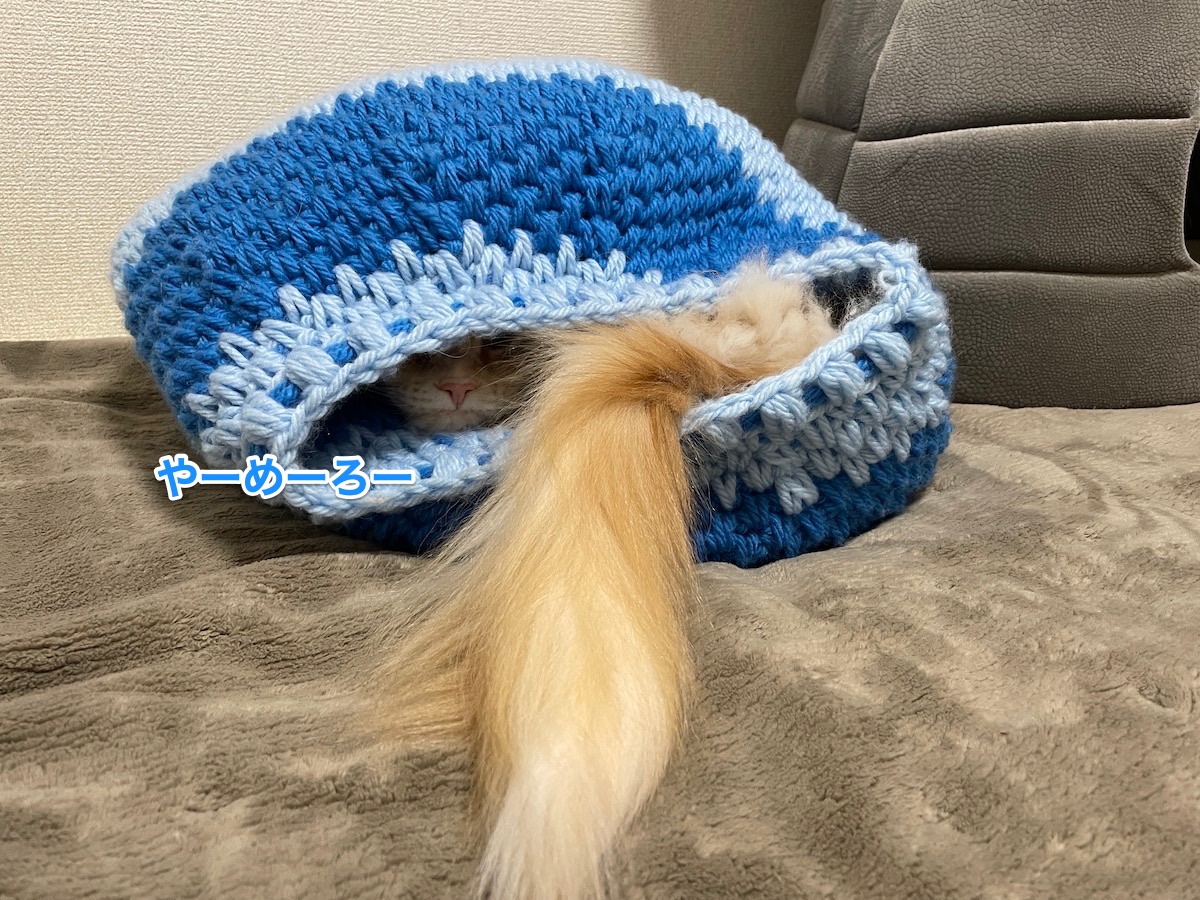 f:id:chikojirou:20210322220232j:plain