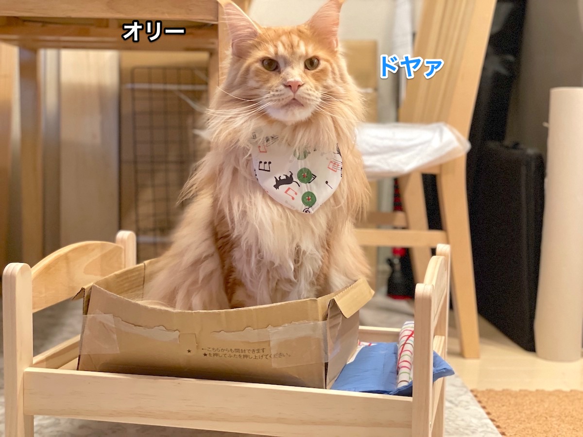 f:id:chikojirou:20210323221253j:plain
