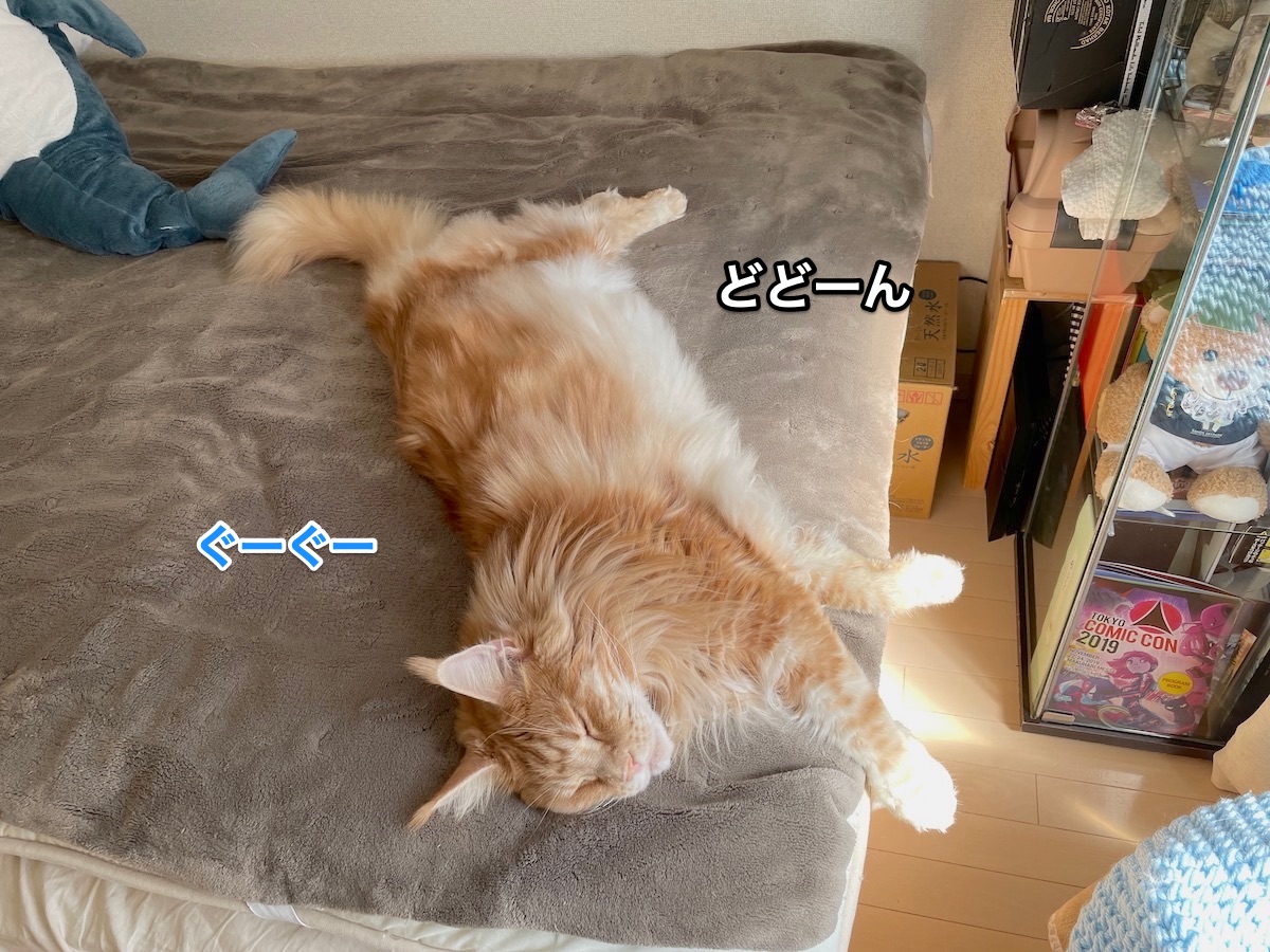 f:id:chikojirou:20210323221305j:plain