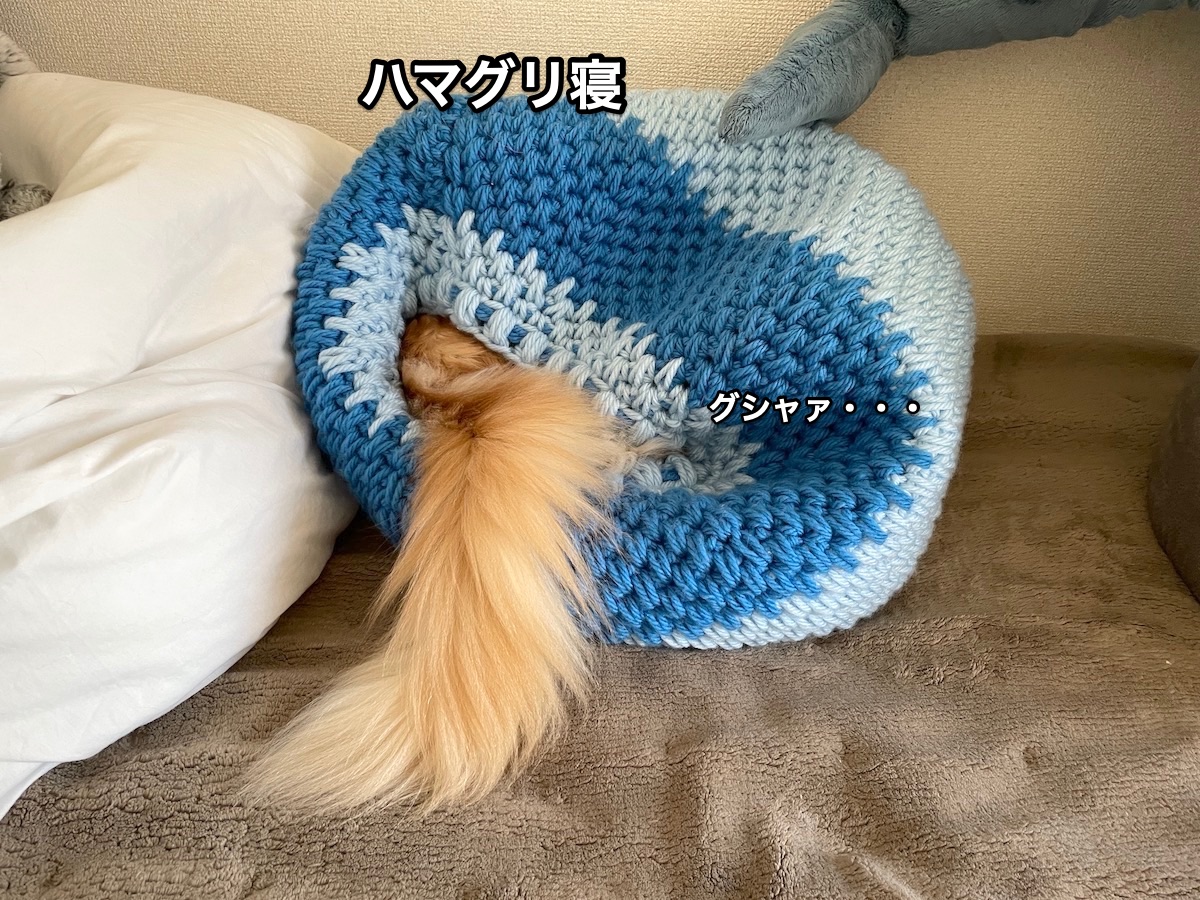 f:id:chikojirou:20210323221312j:plain