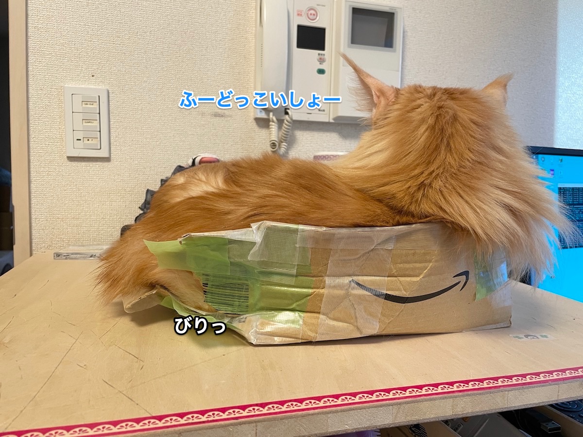 f:id:chikojirou:20210326224100j:plain