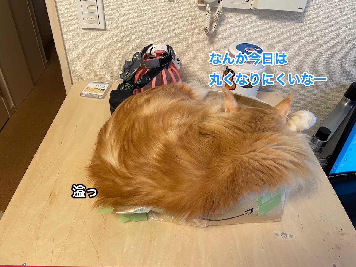 f:id:chikojirou:20210326224103j:plain
