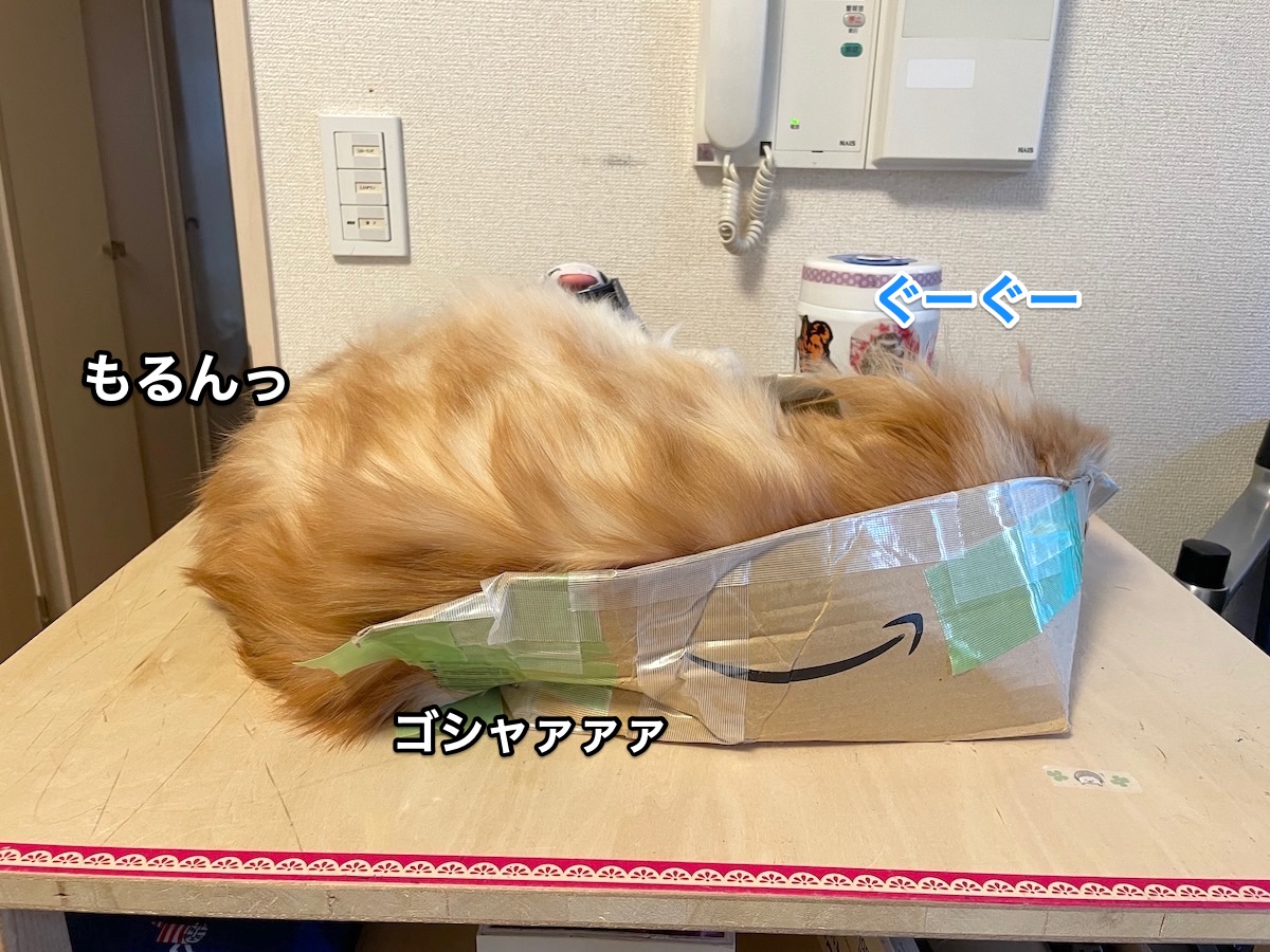 f:id:chikojirou:20210326224107j:plain