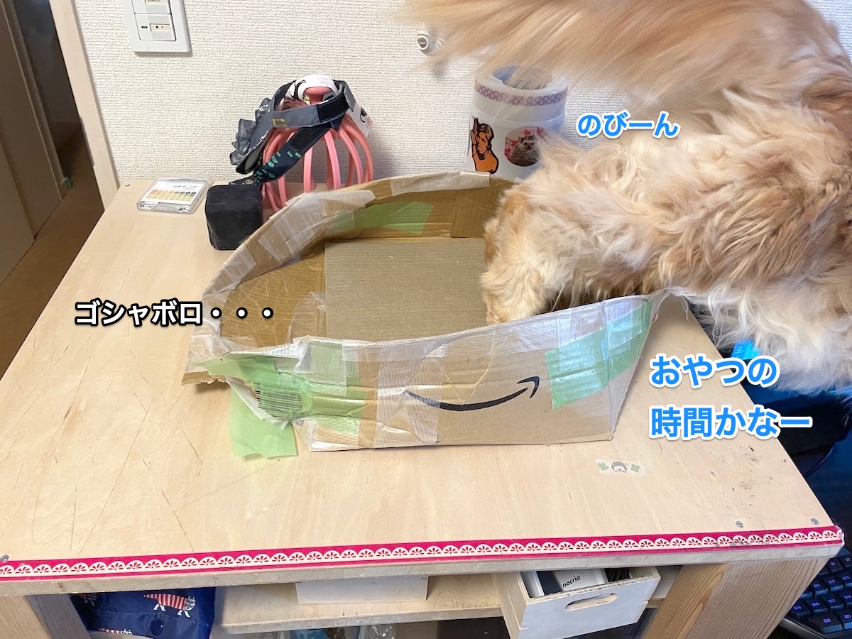 f:id:chikojirou:20210326224116j:plain
