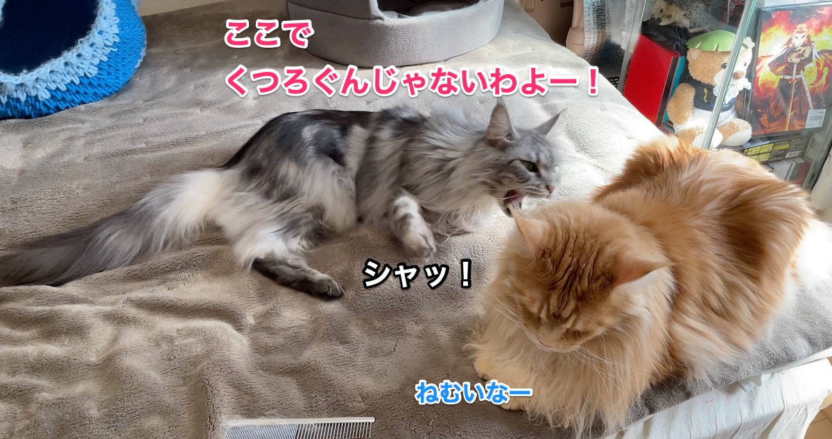 f:id:chikojirou:20210326224125j:plain