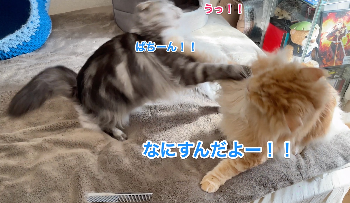 f:id:chikojirou:20210326224131j:plain