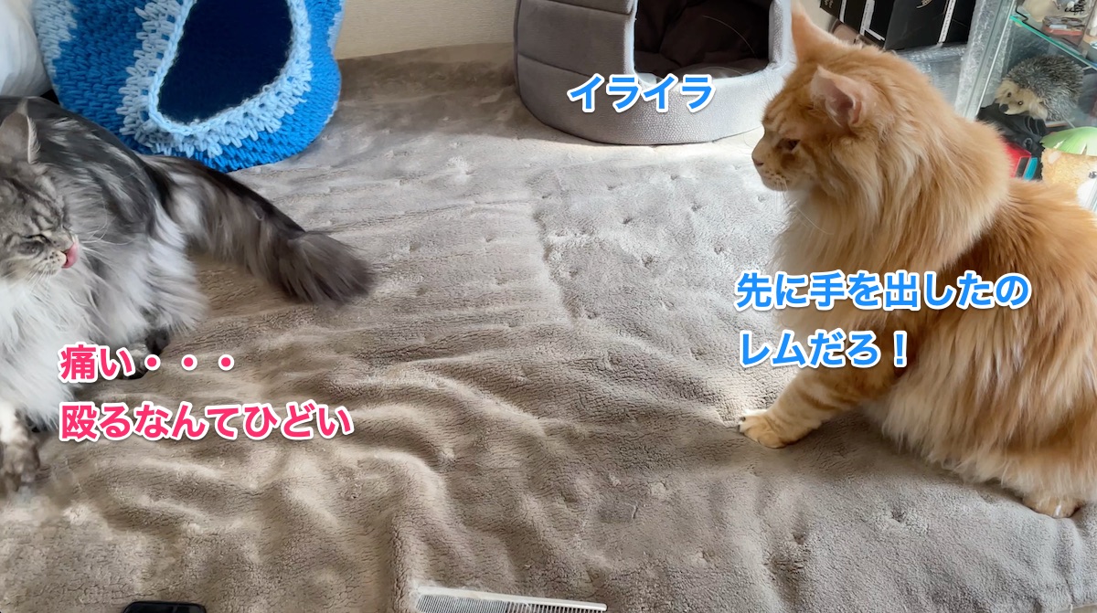 f:id:chikojirou:20210326224134j:plain