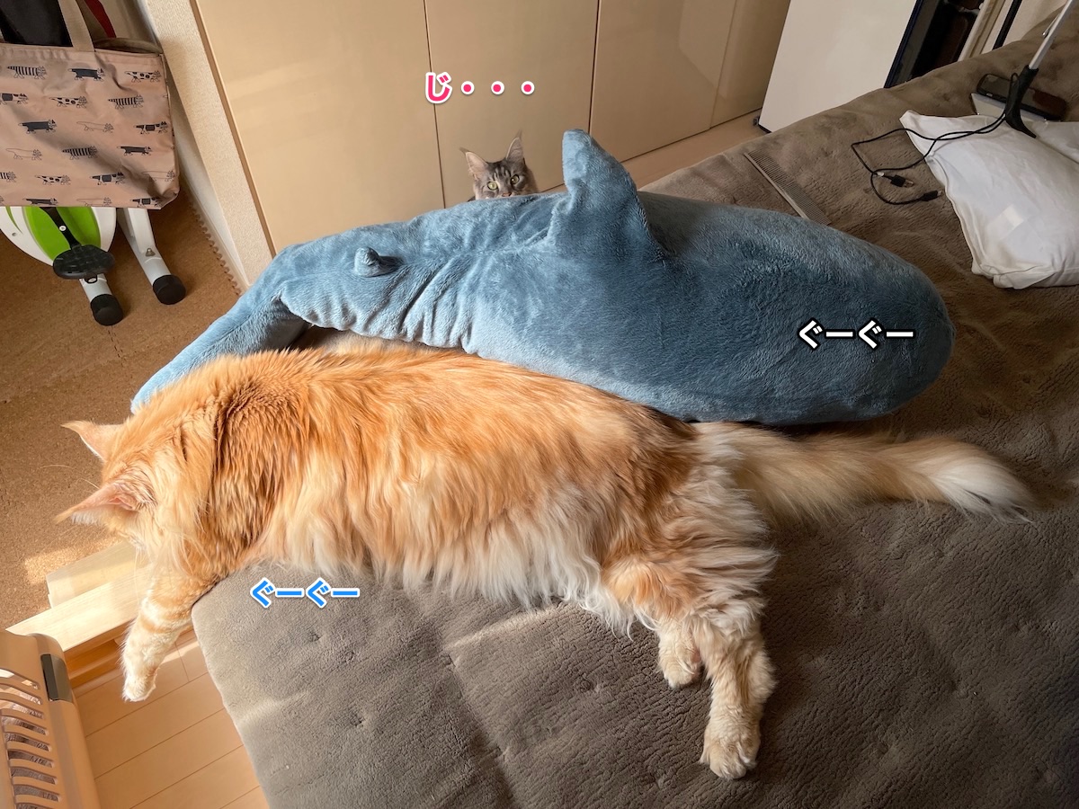 f:id:chikojirou:20210328215241j:plain