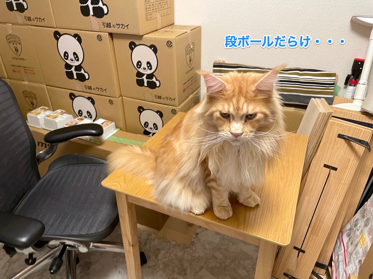 f:id:chikojirou:20210328215256j:plain