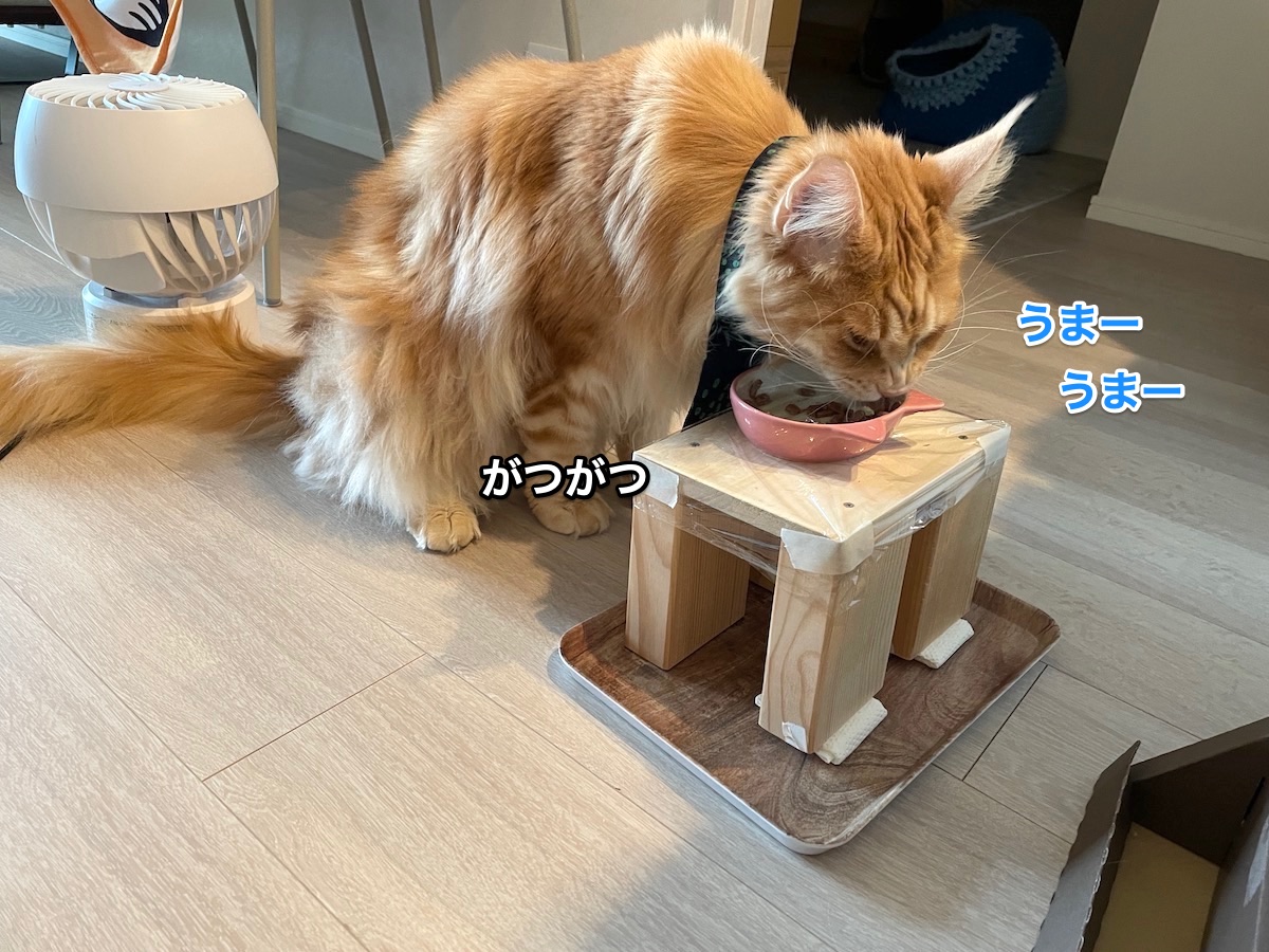 f:id:chikojirou:20210412202747j:plain