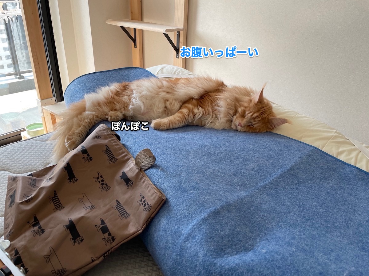 f:id:chikojirou:20210412202801j:plain
