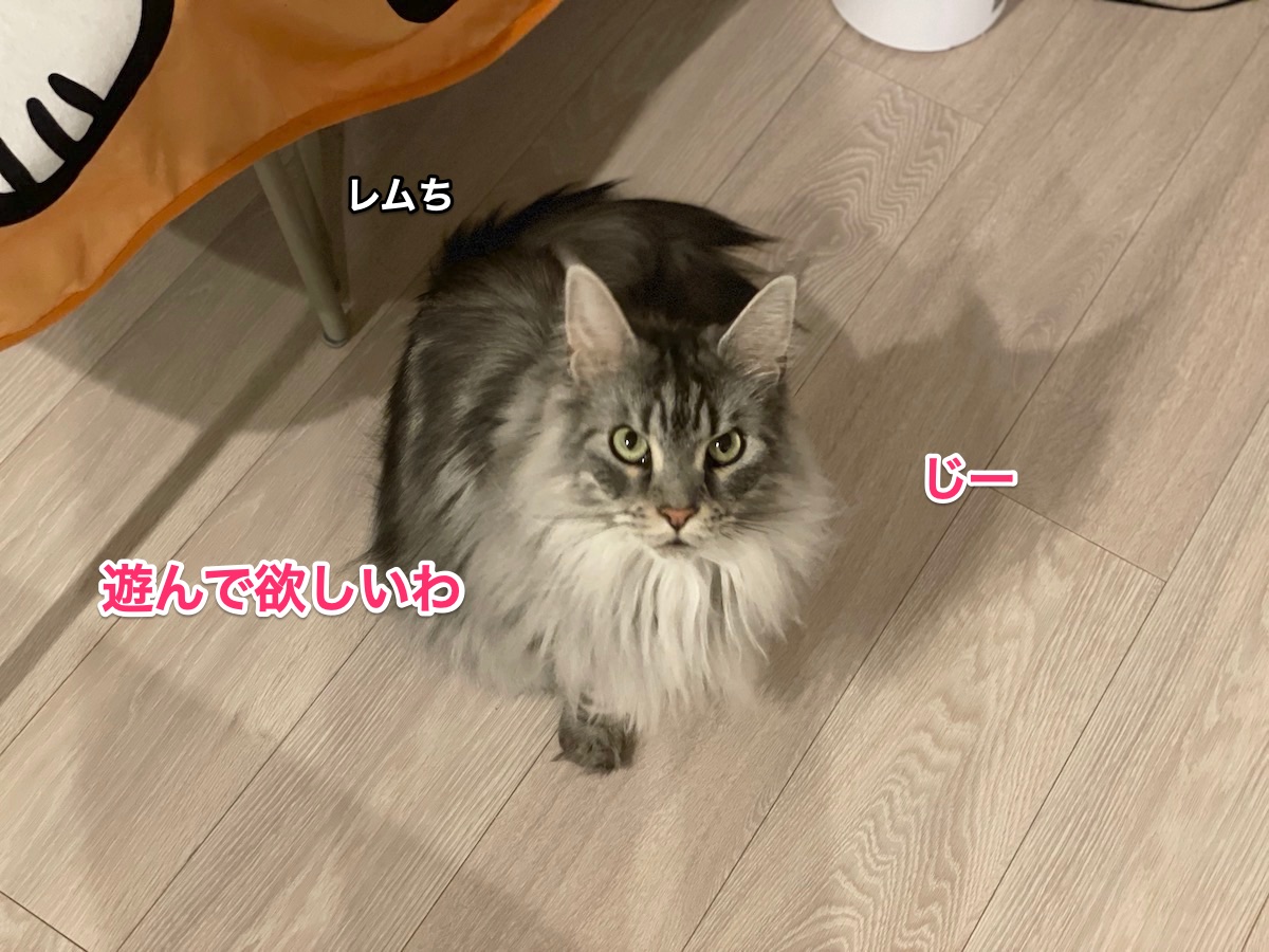 f:id:chikojirou:20210413214320j:plain