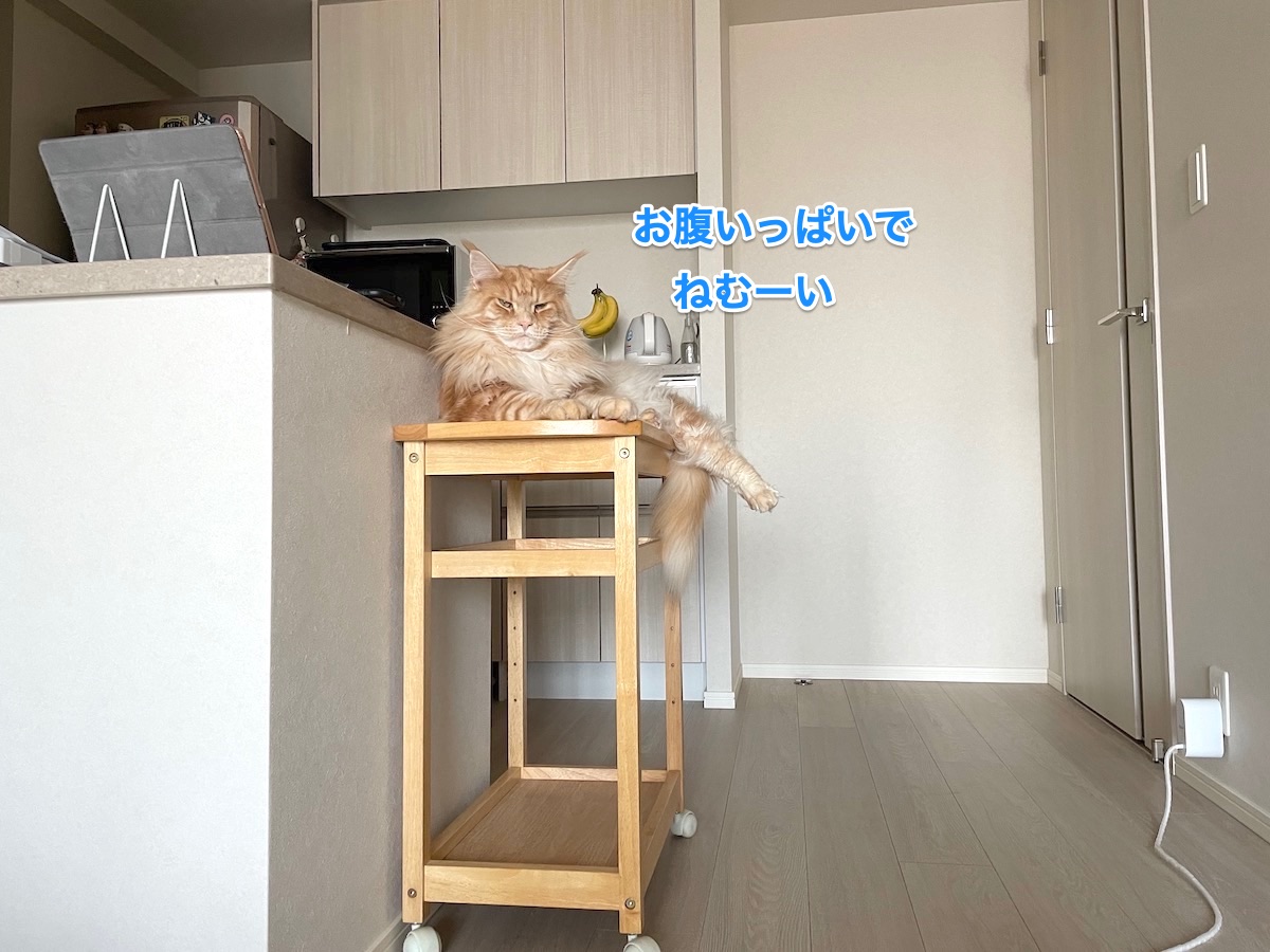 f:id:chikojirou:20210413214333j:plain