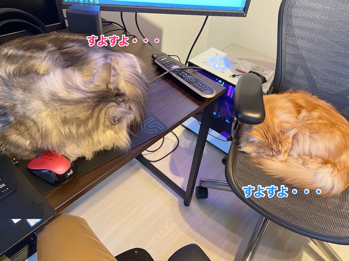 f:id:chikojirou:20210413214337j:plain