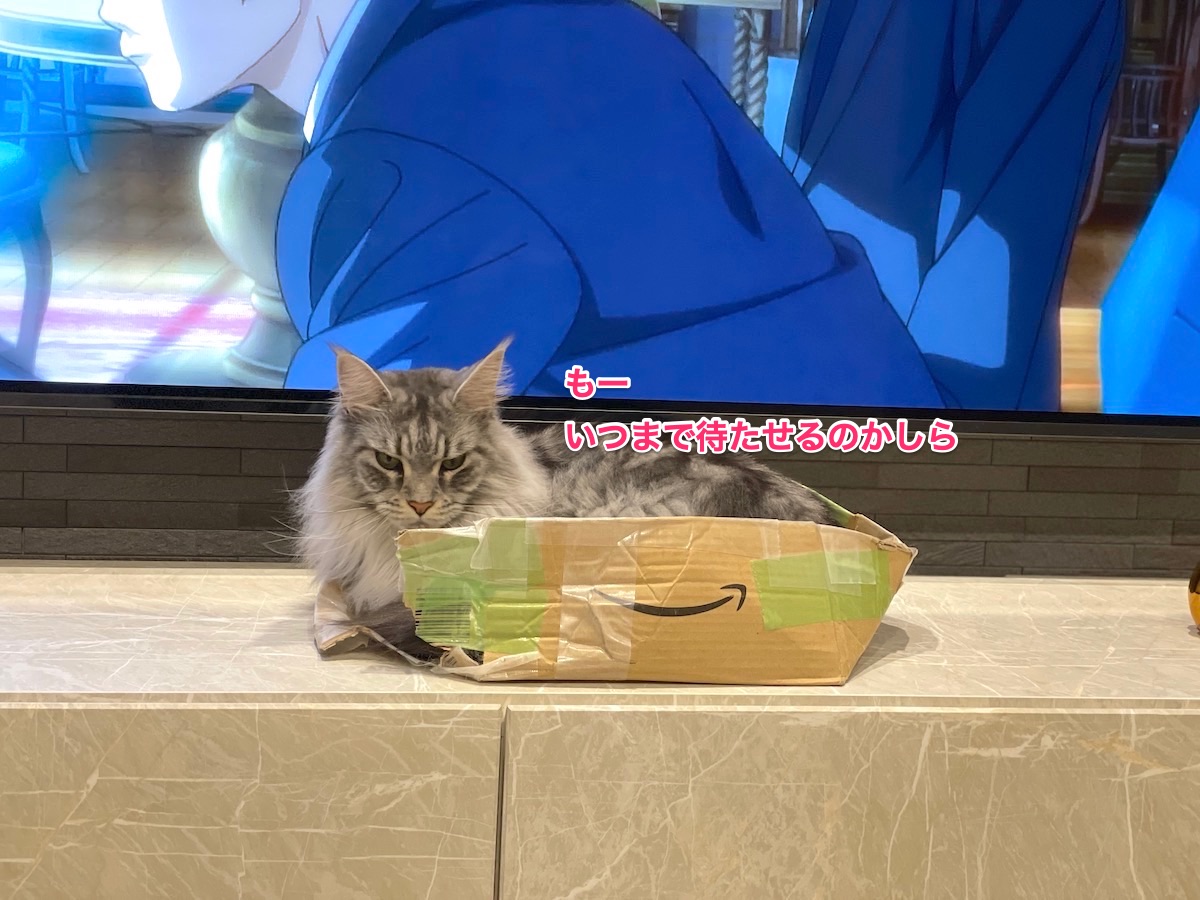 f:id:chikojirou:20210417221048j:plain