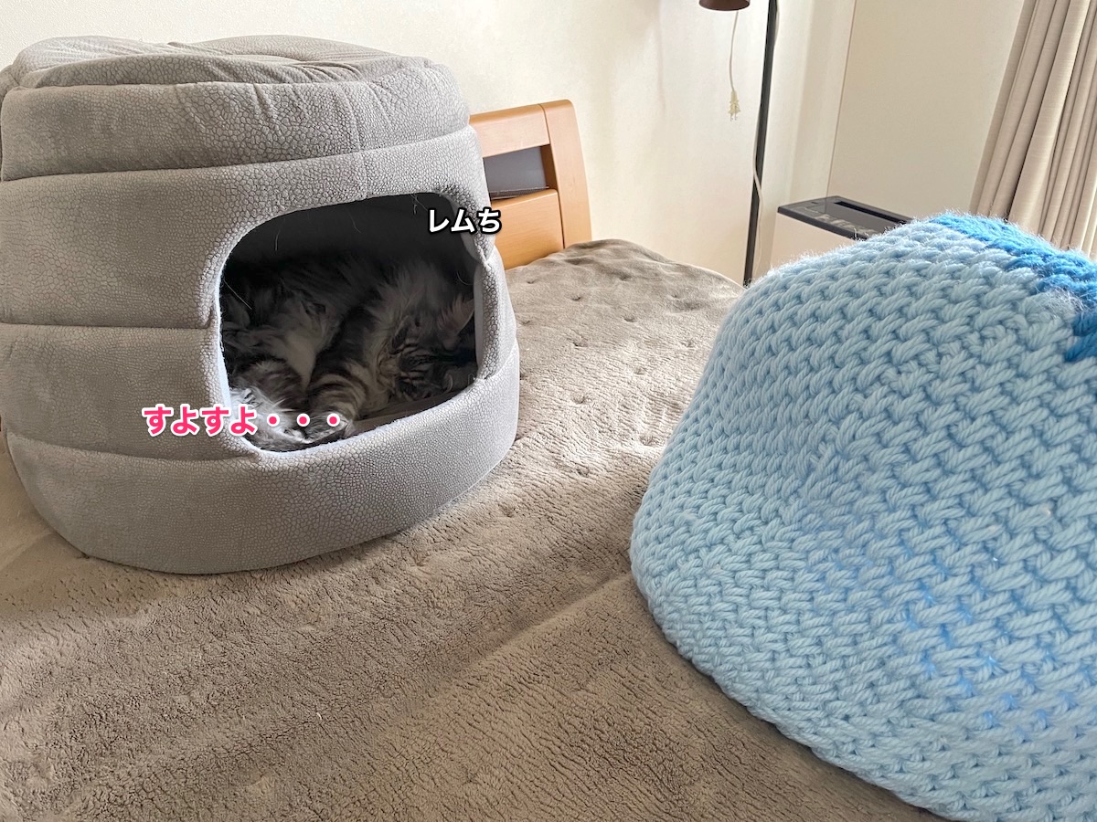 f:id:chikojirou:20210419214438j:plain