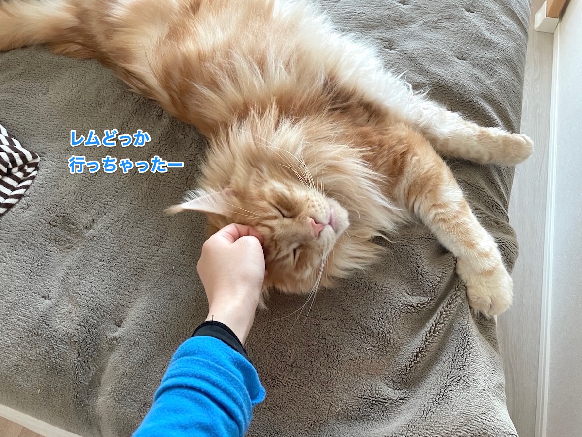 f:id:chikojirou:20210420204247j:plain