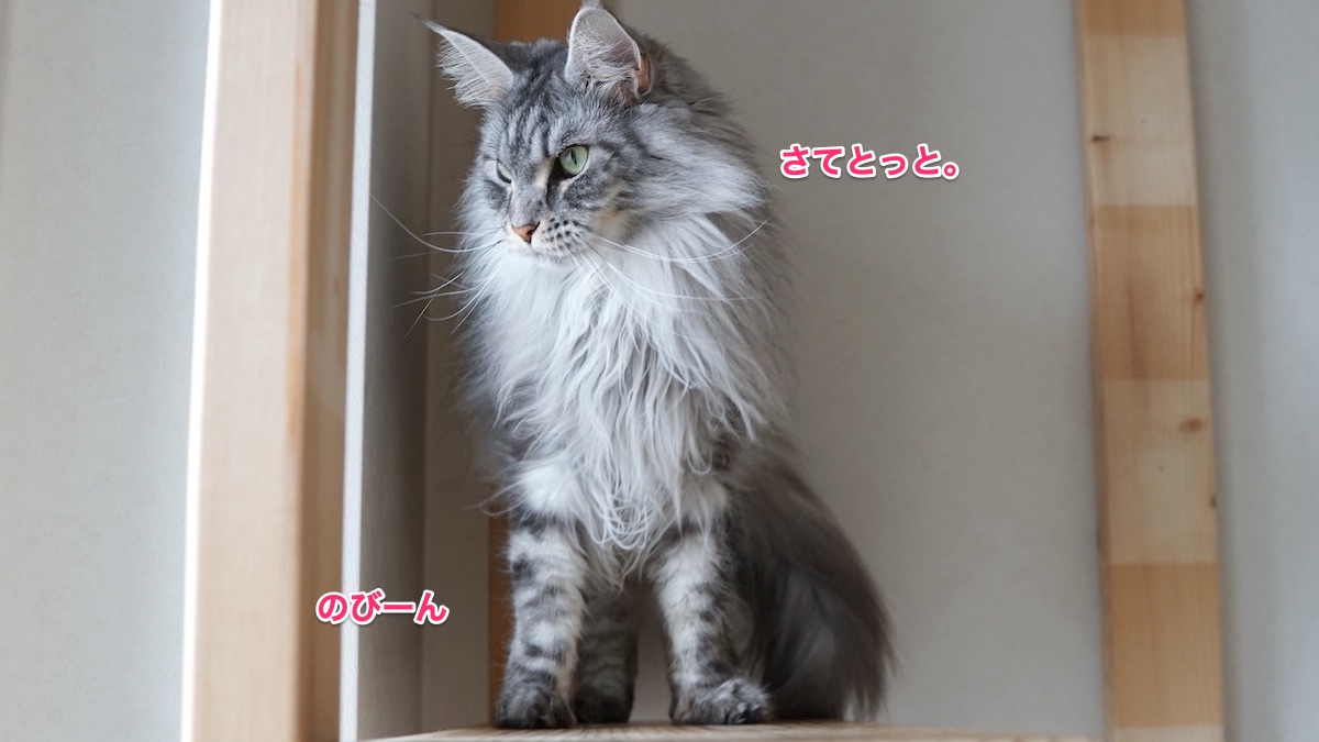 f:id:chikojirou:20210420204259j:plain