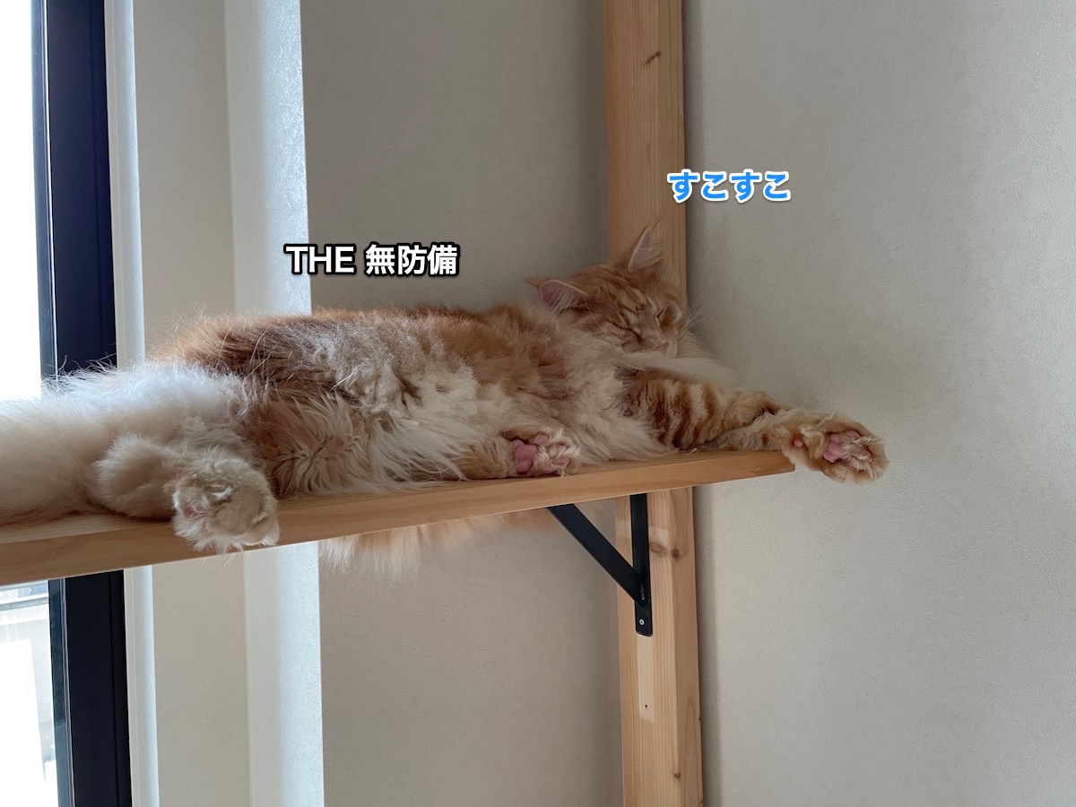 f:id:chikojirou:20210422220136j:plain