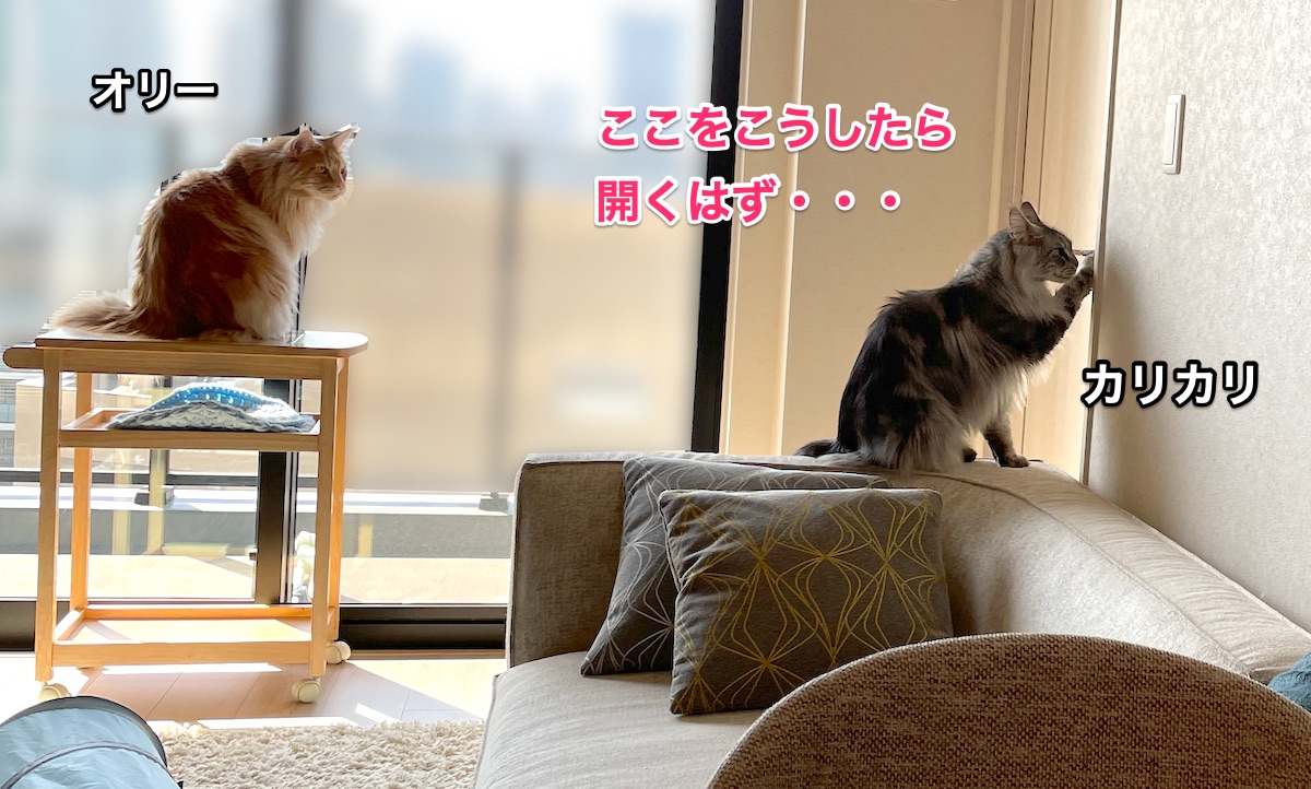 f:id:chikojirou:20210427222829j:plain