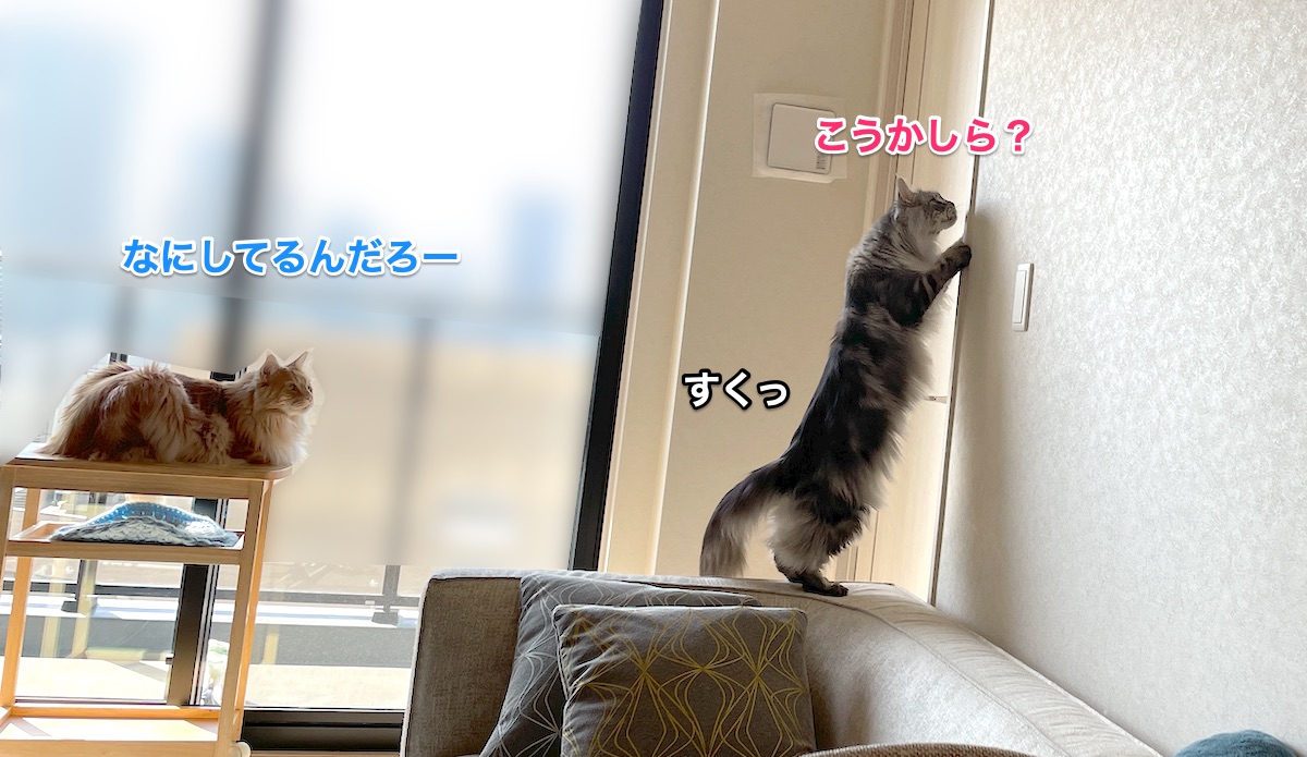f:id:chikojirou:20210427222832j:plain