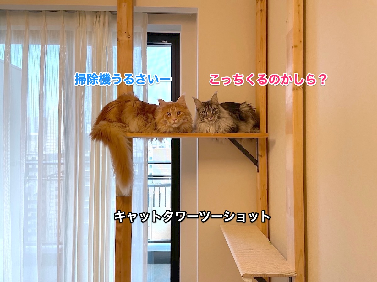 f:id:chikojirou:20210427222836j:plain