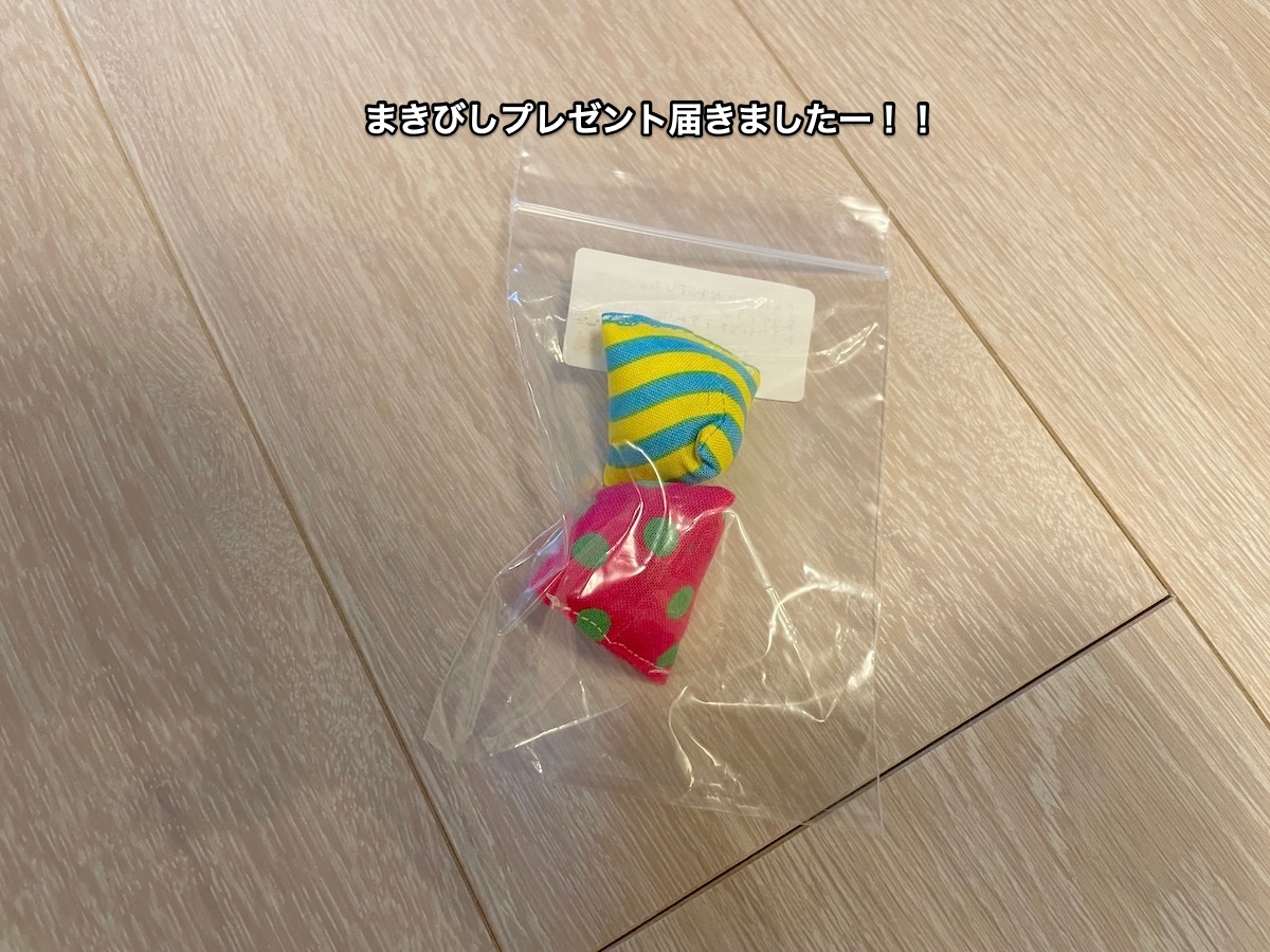 f:id:chikojirou:20210428221153j:plain