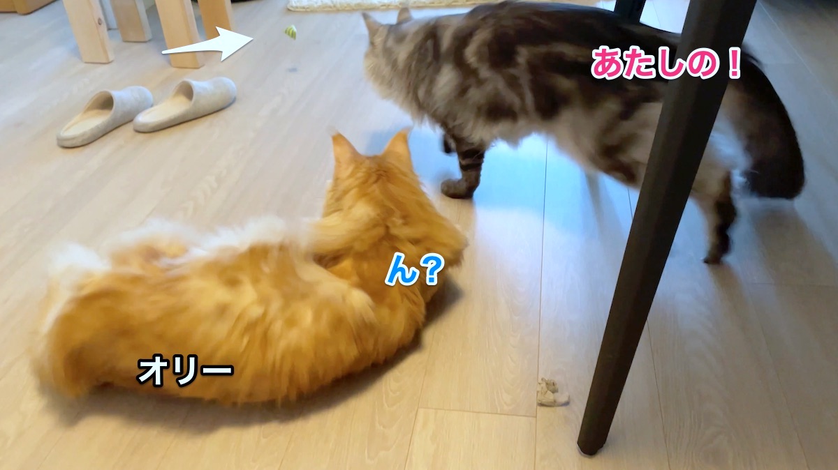 f:id:chikojirou:20210428221202j:plain