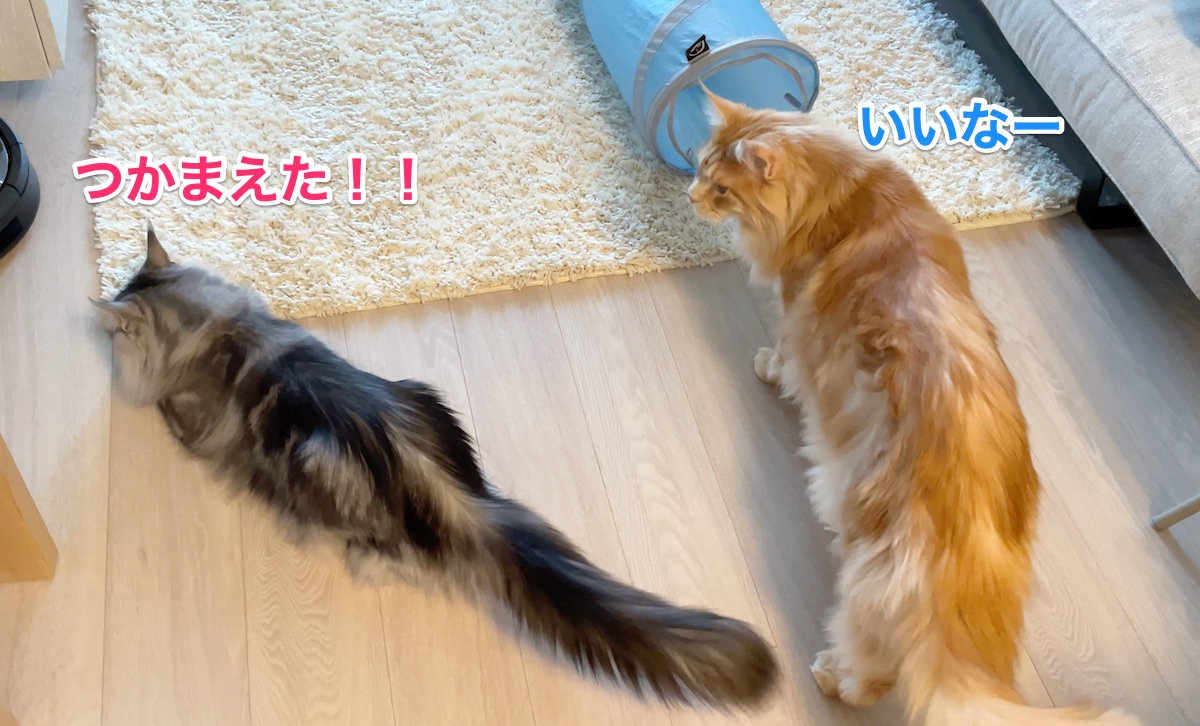 f:id:chikojirou:20210428221207j:plain
