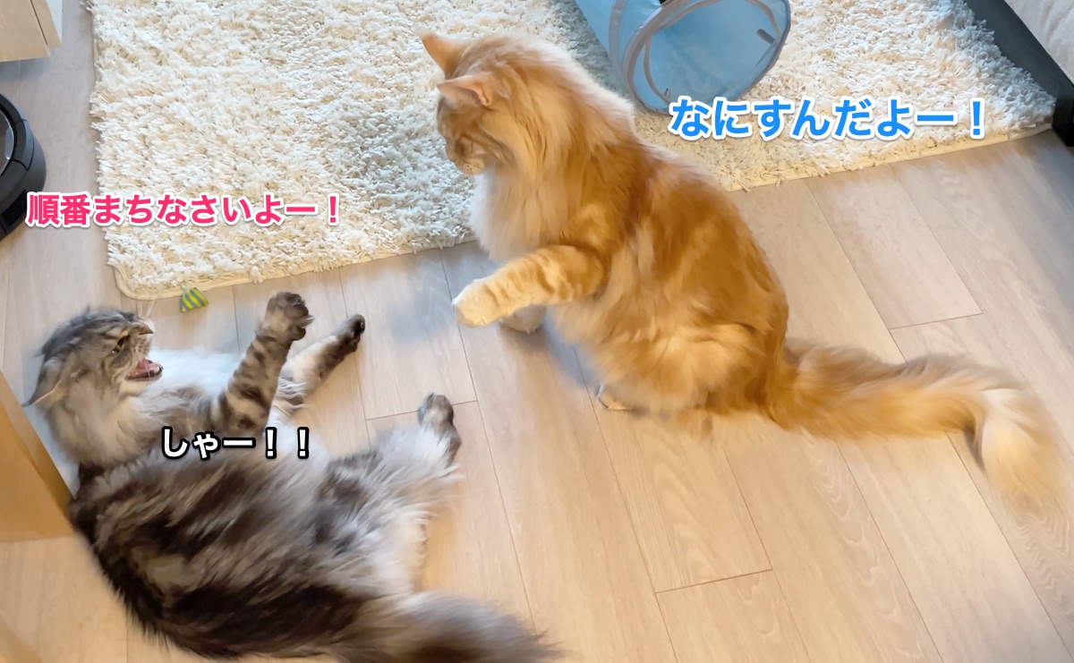 f:id:chikojirou:20210428221218j:plain