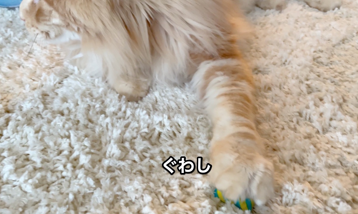 f:id:chikojirou:20210428221221j:plain
