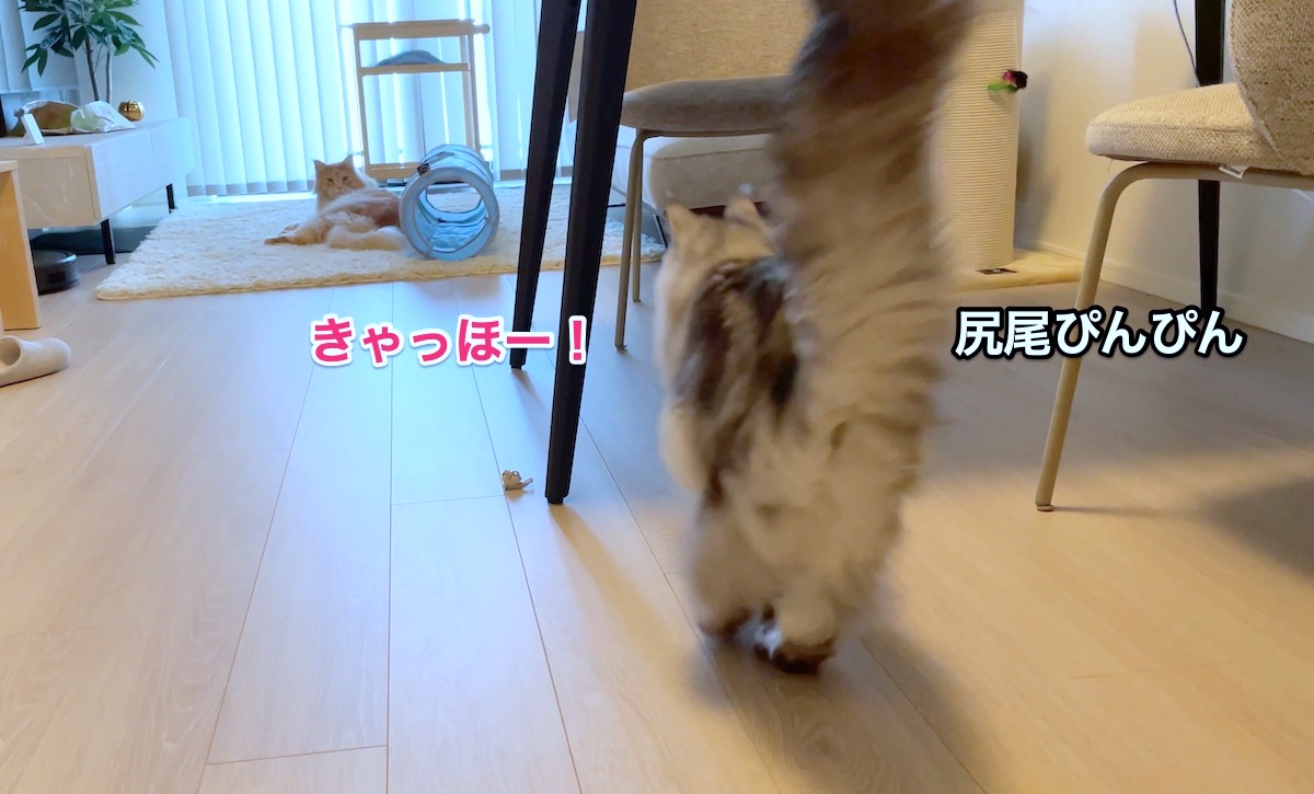 f:id:chikojirou:20210428221229j:plain