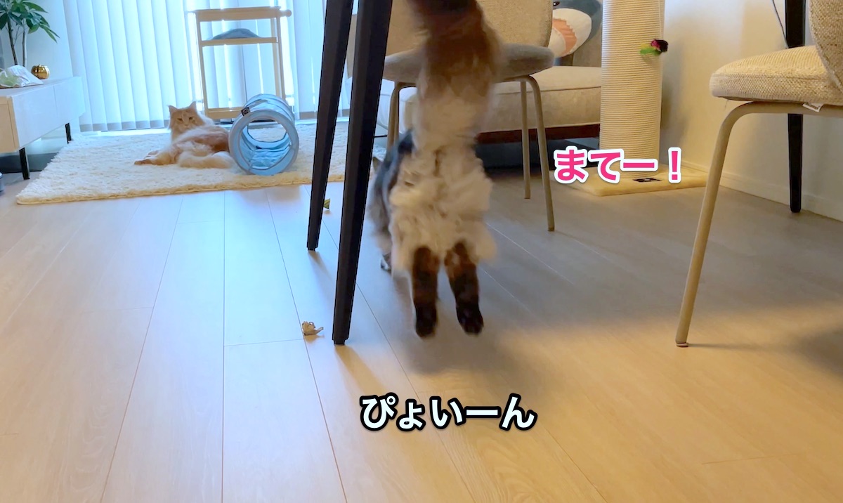 f:id:chikojirou:20210428221232j:plain