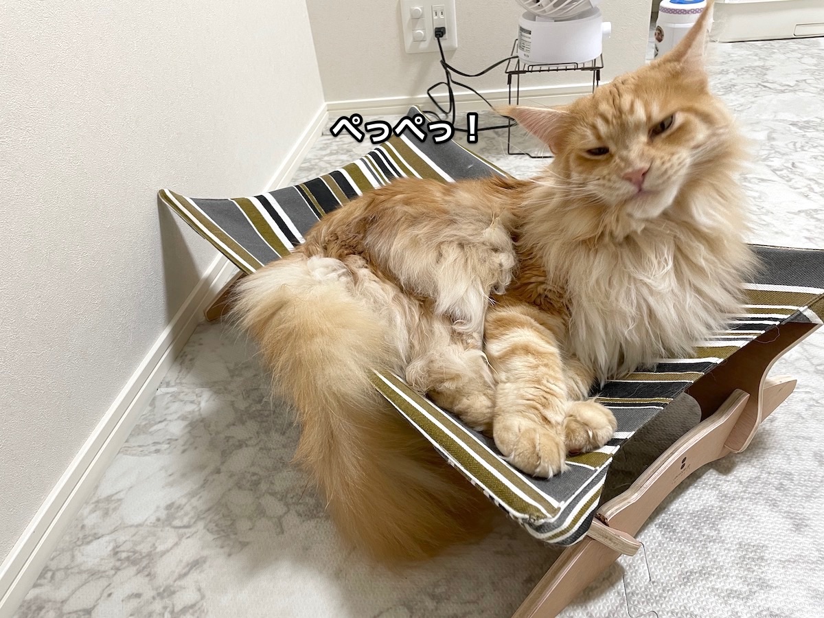 f:id:chikojirou:20210503224450j:plain