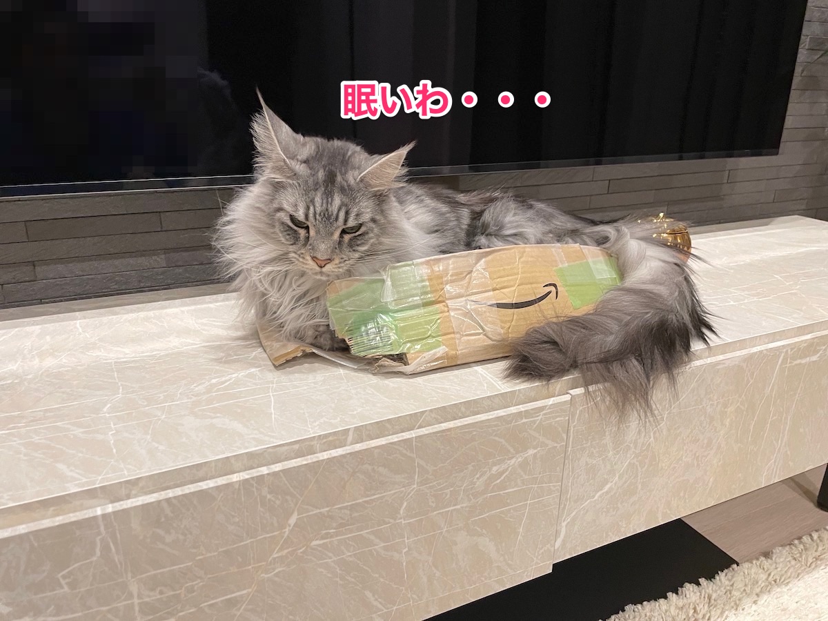 f:id:chikojirou:20210511215007j:plain