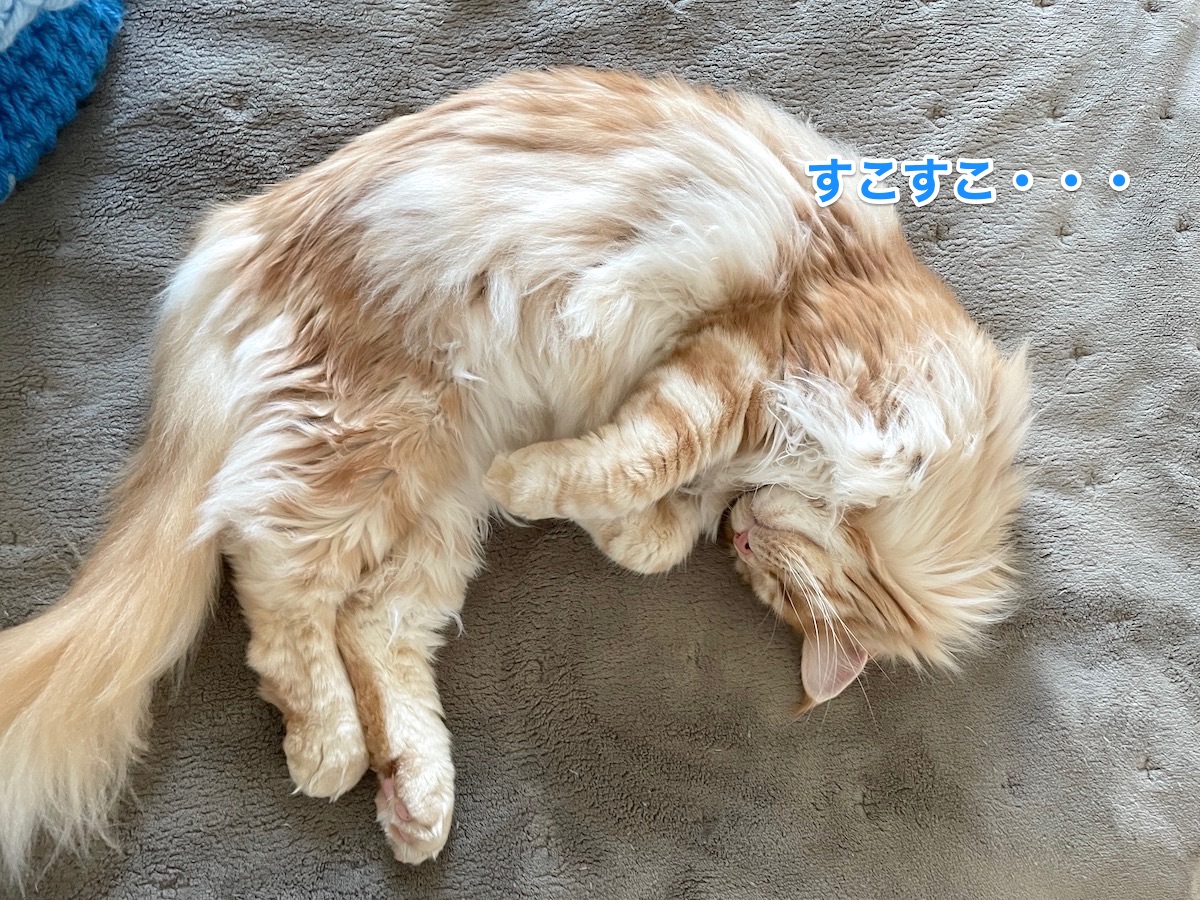 f:id:chikojirou:20210511215026j:plain