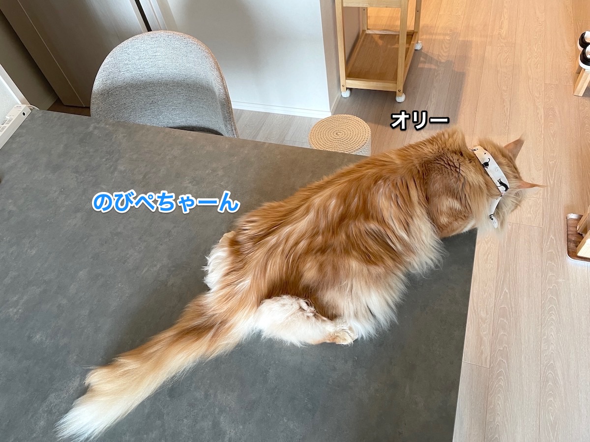 f:id:chikojirou:20210512223952j:plain