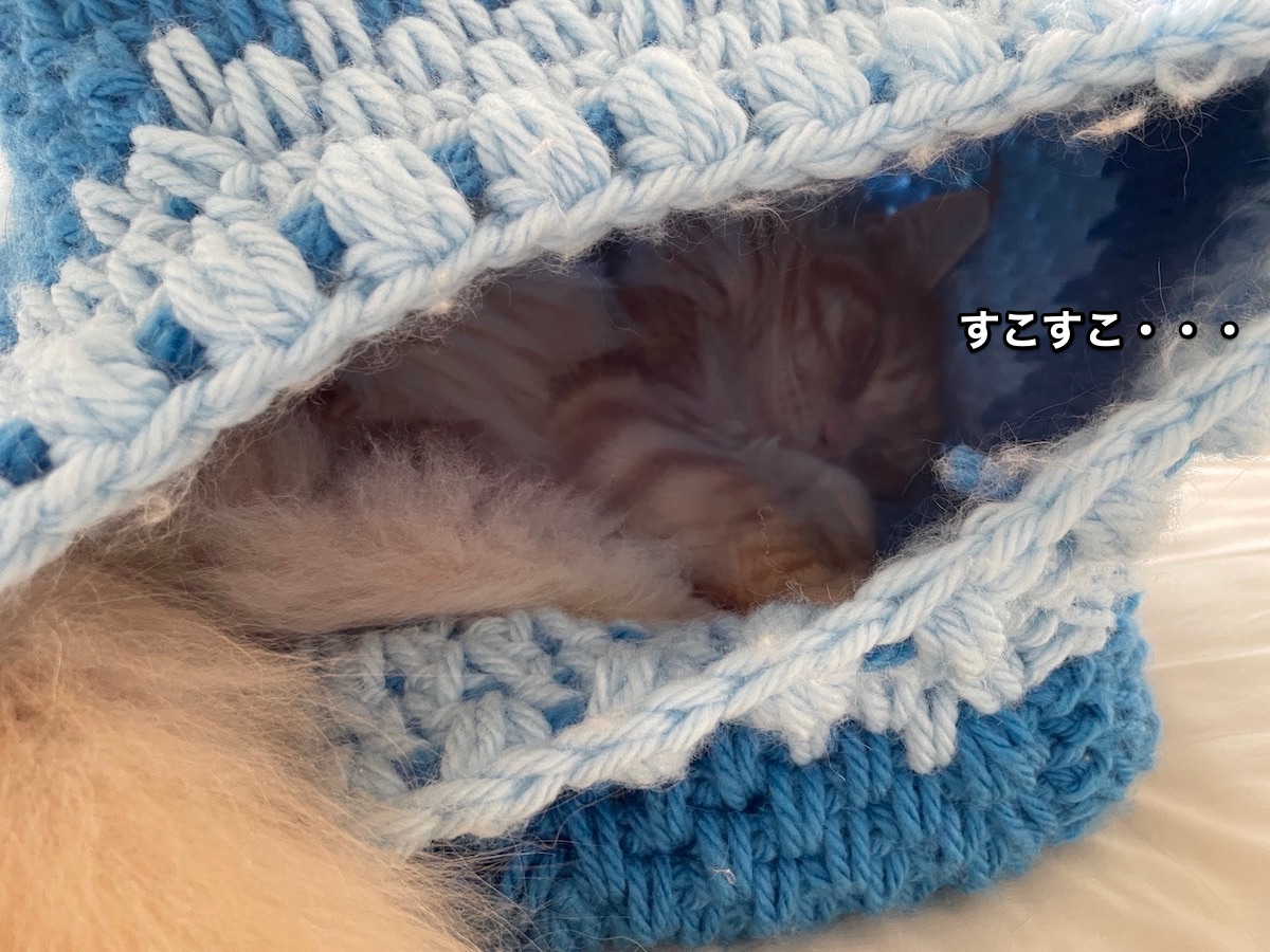 f:id:chikojirou:20210512224000j:plain