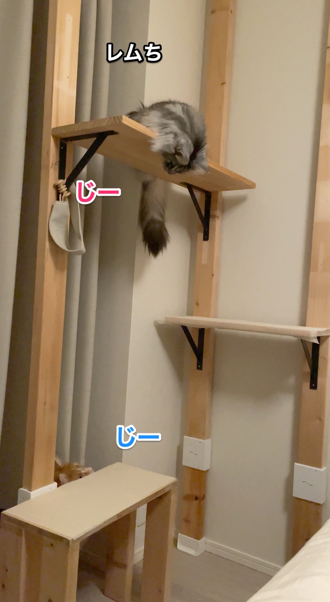 f:id:chikojirou:20210512224004j:plain