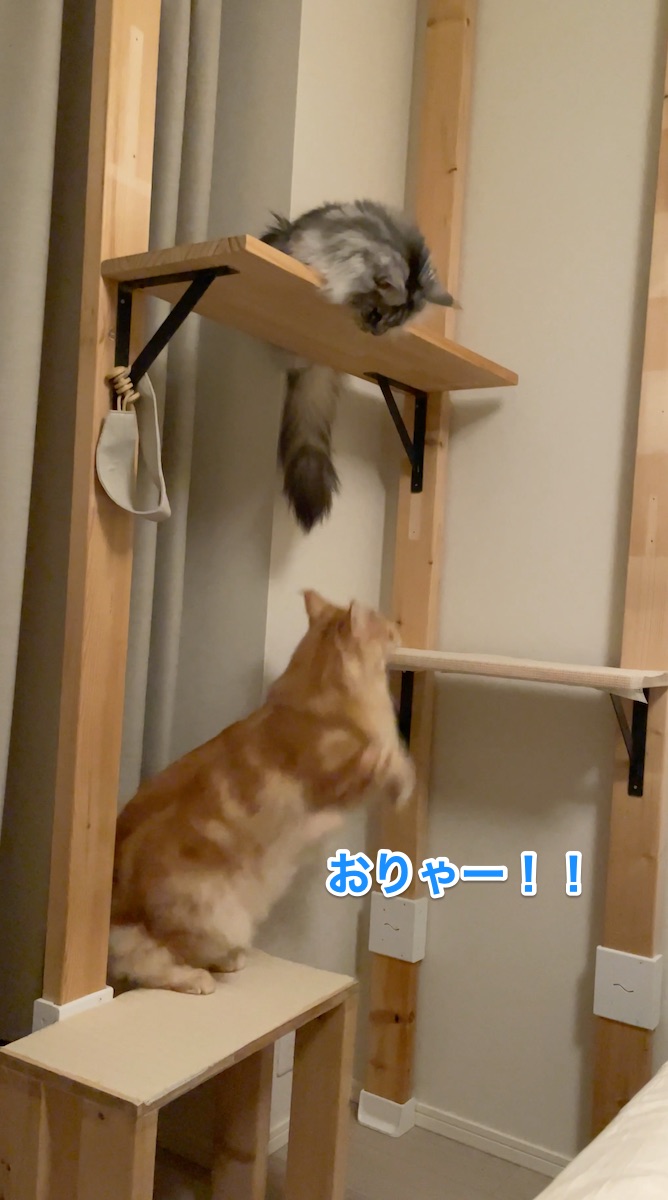 f:id:chikojirou:20210512224008j:plain