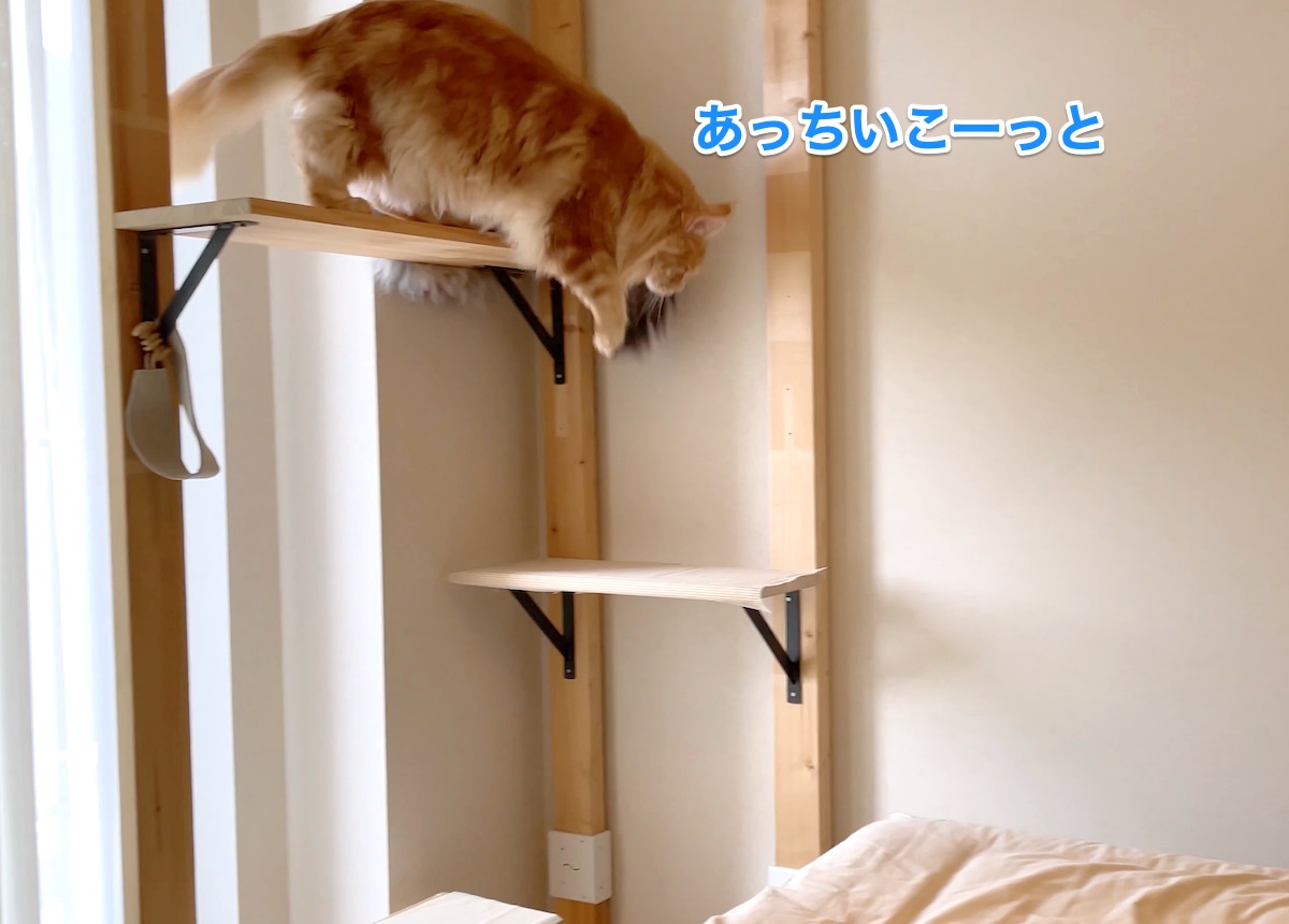 f:id:chikojirou:20210516213141j:plain